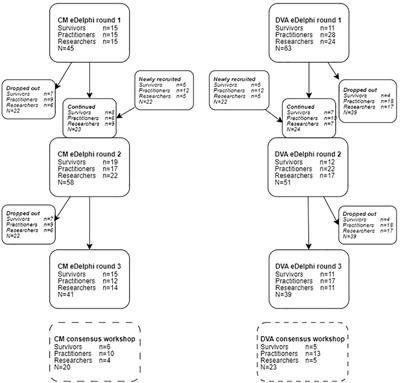 Harmonising outcome measurement for child focused domestic abuse interventions. Reflections on the development and implementation of a core outcome set